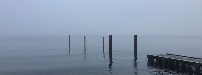 Kastrup Havn i tåge